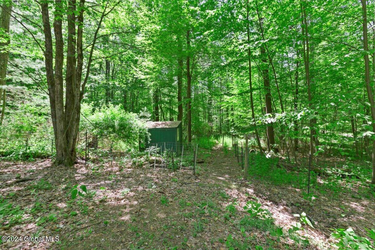 283 Ryan Gross Road Pittstown, NY 12094 - Photo 33 of 40 32-MW2_2130