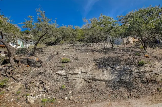 a view of a dry yard with trees