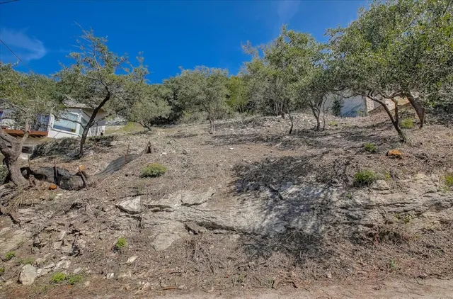 a view of a dry yard with trees