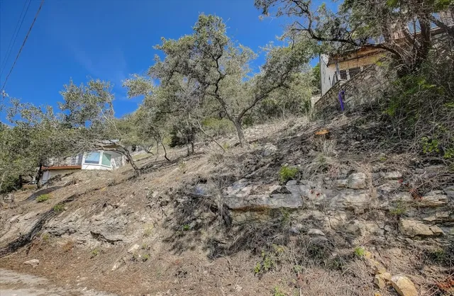 a view of a dry yard with large trees