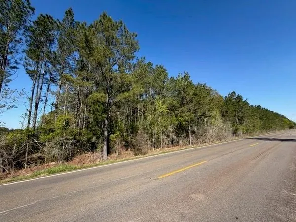 $190,000 | 0 Highway 1063, Independence, LA 70443