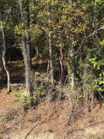 0 Highway 1063 Independence, LA 70443 - Photo 15 of 15