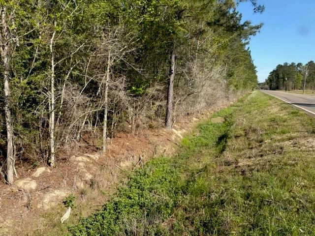 0 Highway 1063 Independence, LA 70443 - Photo 2 of 15