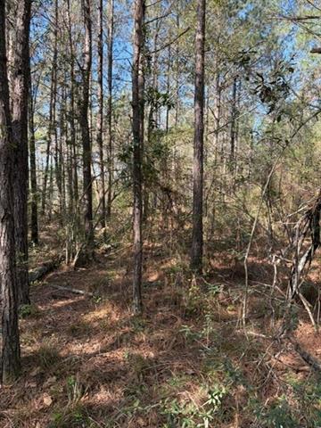 0 Highway 1063 Independence, LA 70443 - Photo 5 of 15