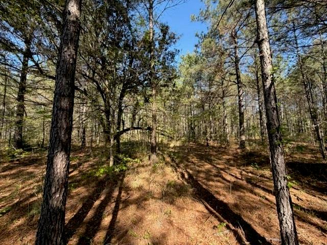 0 Highway 1063 Independence, LA 70443 - Photo 6 of 15