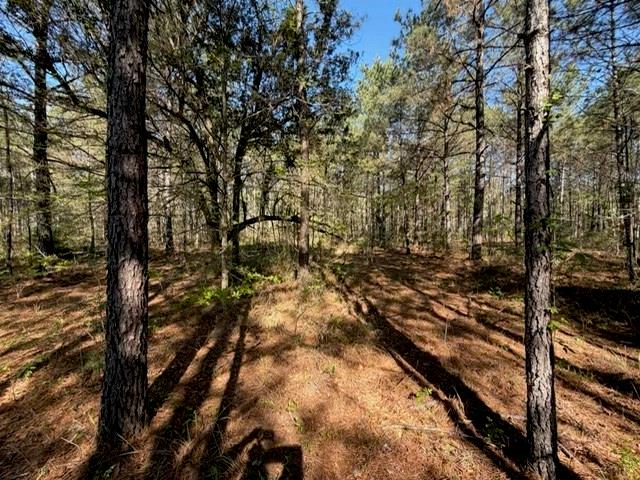 0 Highway 1063 Independence, LA 70443 - Photo 7 of 15