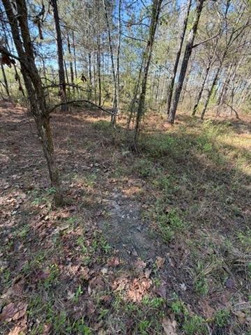 0 Highway 1063 Independence, LA 70443 - Photo 9 of 15