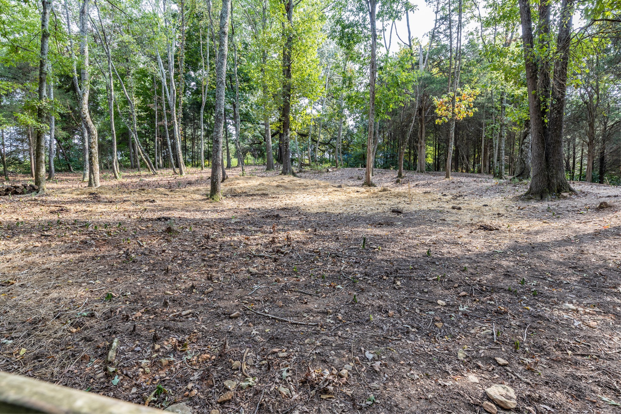 1502 New Deal Potts Road Portland, TN 37148 - Photo 60 of 72 Gallery Image 60