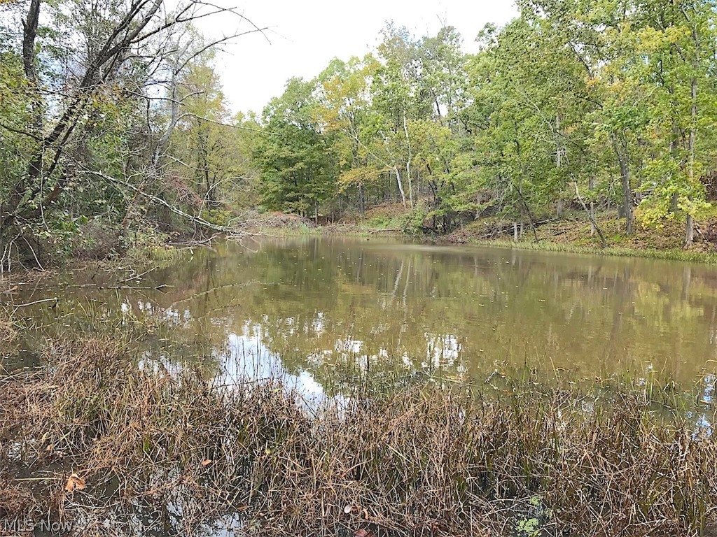 Barth Road Belpre, OH 45714 - Photo 4 of 25 Gallery Image 4