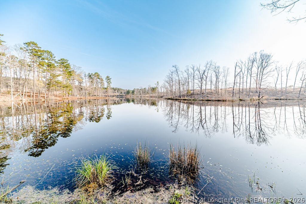 161 White Oak Street Carthage, NC 28327 - Photo 29 of 29 a view of lake view