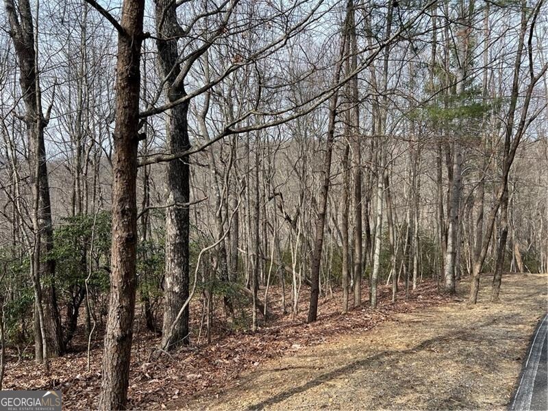 Lot 4 Monument Falls Road Jasper, GA 30143 - Photo 1 of 1 Gallery Image 1