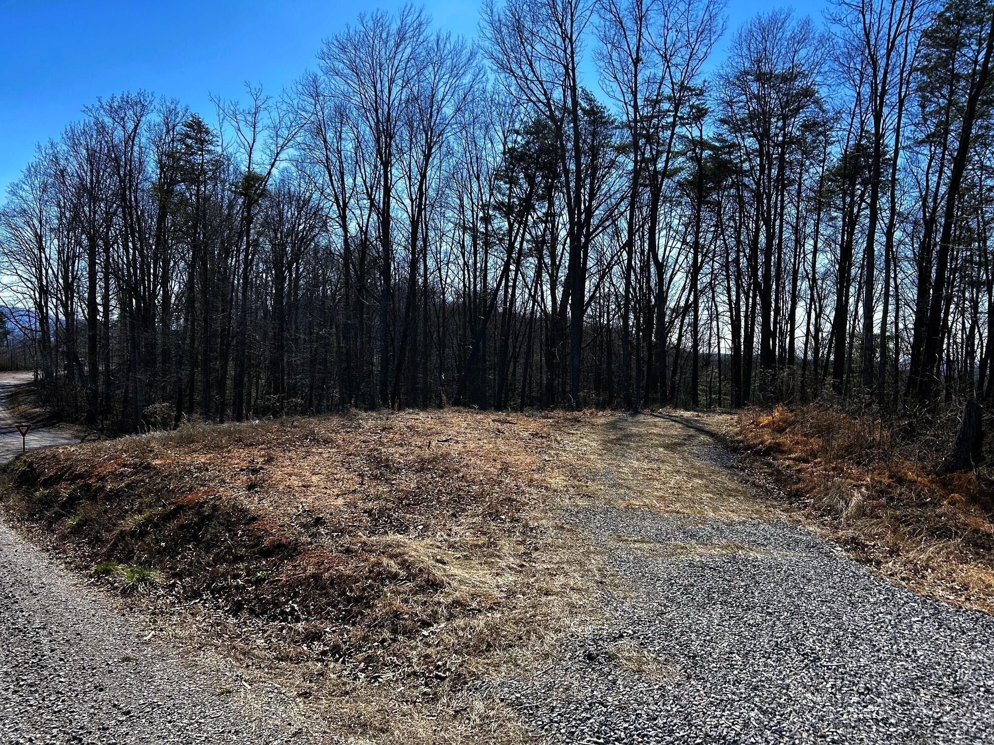 107125 Chestnut Mountain Road Reliance, TN 37369 - Photo 30 of 32
