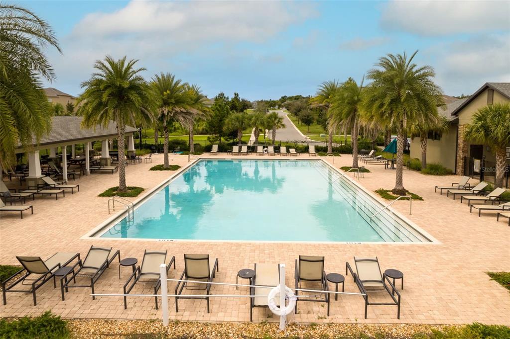 2541 Red Berry Way Ocoee, FL 34761 - Photo 35 of 49 a view of swimming pool with outdoor seating and house in the background