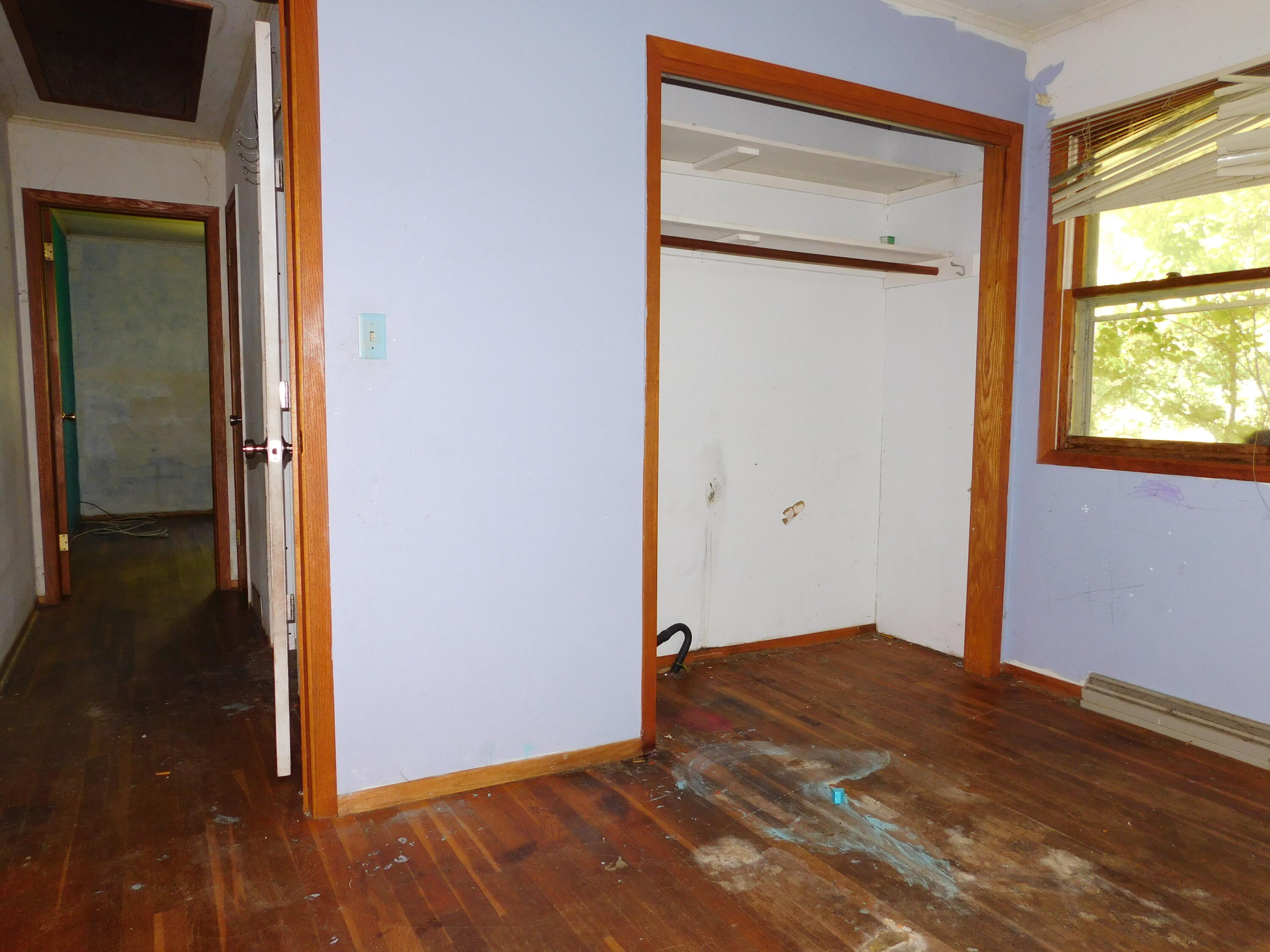 920 East Hoffman Street Three Rivers, MI 49093 - Photo 11 of 25 DSCN8792
