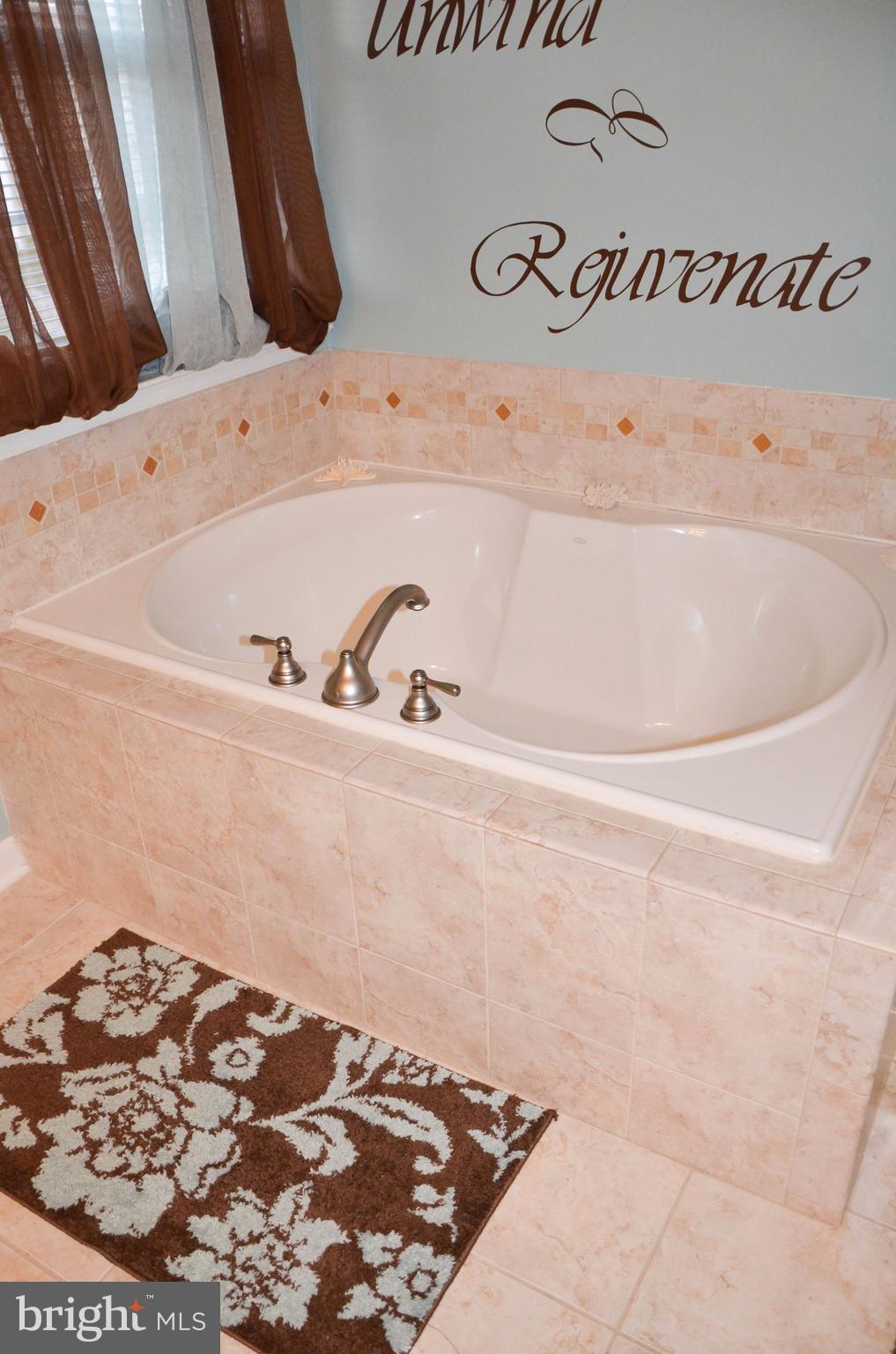 733 Holly Leaf Road Culpeper, VA 22701 - Photo 22 of 26 Soaking tub in master bathroom