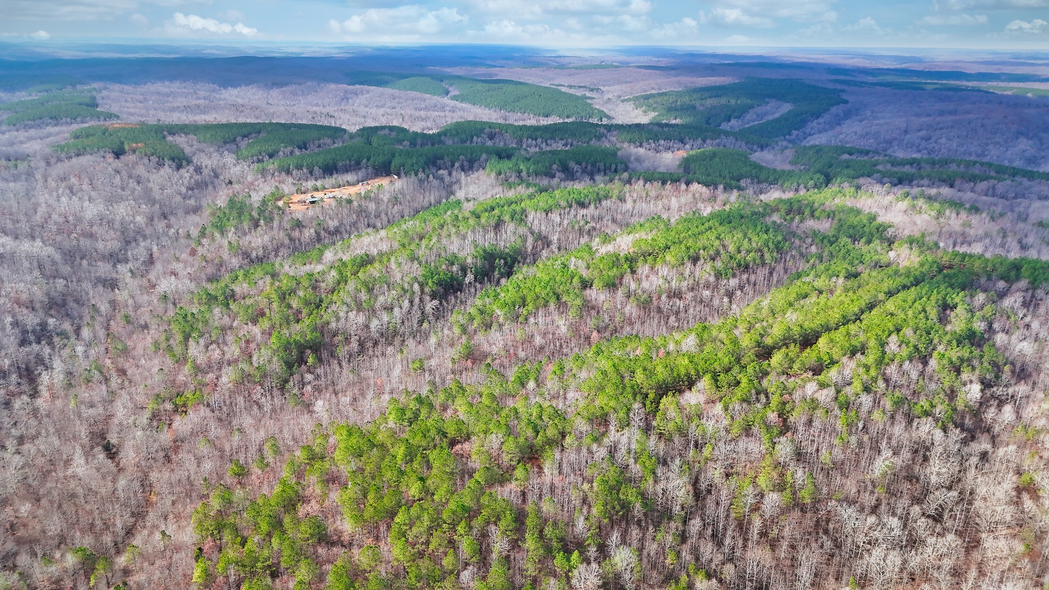 0 Forest Ridge Road Hohenwald, TN 38462 - Photo 12 of 41 Gallery Image 12