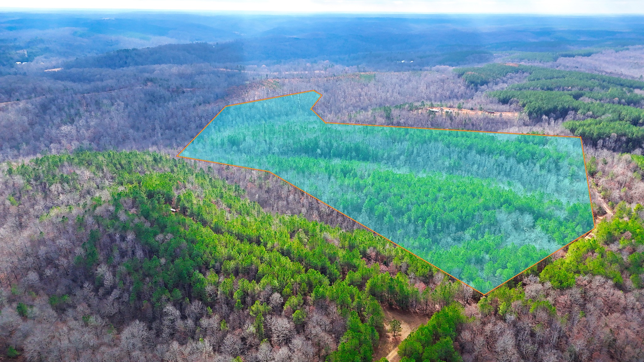 0 Forest Ridge Road Hohenwald, TN 38462 - Photo 3 of 41 Gallery Image 3