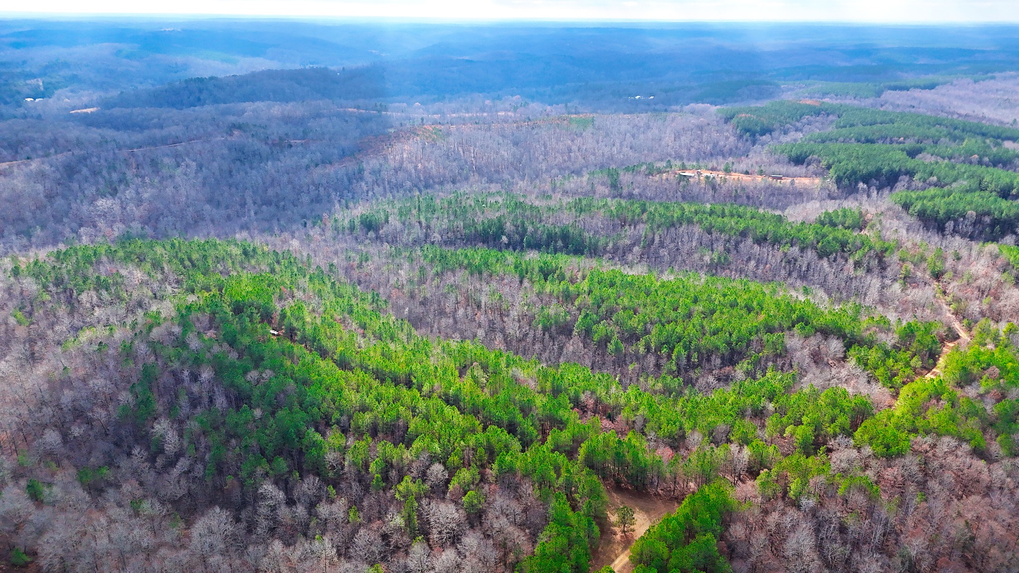 0 Forest Ridge Road Hohenwald, TN 38462 - Photo 7 of 41 Gallery Image 7