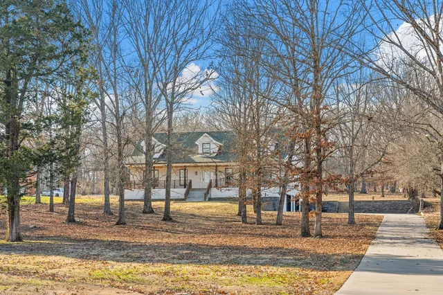 a park view with large trees