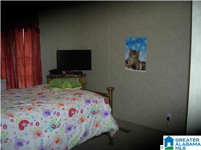 60 Waldrop Road Ashville, AL 35953 - Photo 17 of 23