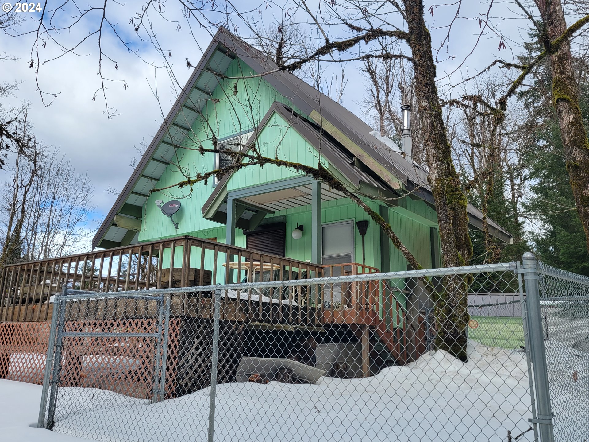 642 Cannavinna Road Carson, WA 98610 - Photo 25 of 36 Dog Run