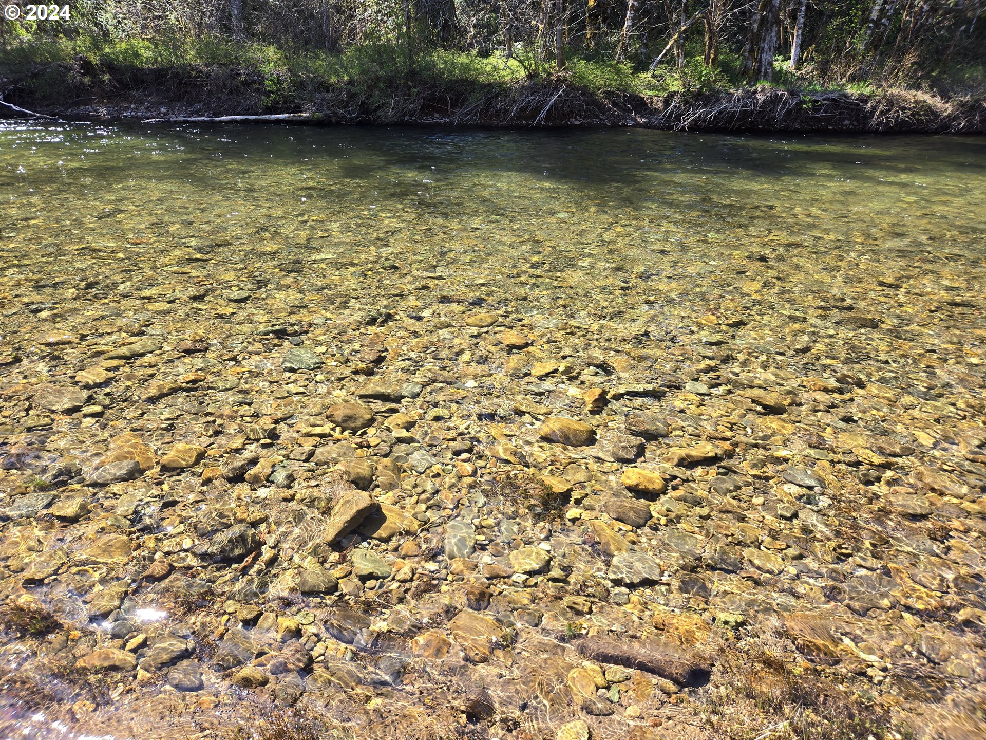 642 Cannavinna Road Carson, WA 98610 - Photo 29 of 36 View