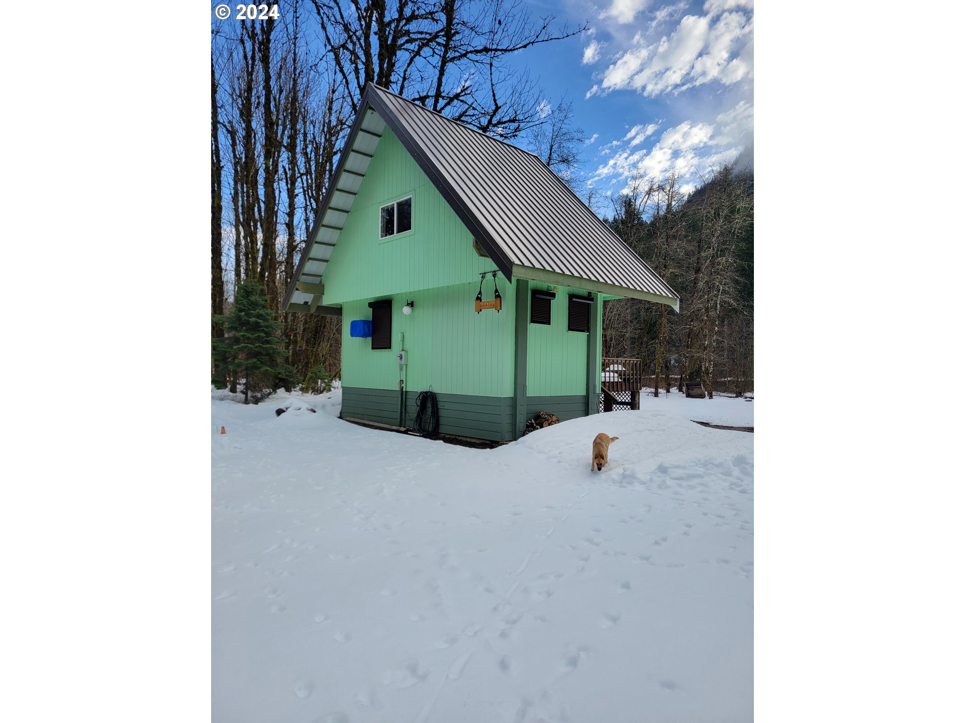 642 Cannavinna Road Carson, WA 98610 - Photo 3 of 36