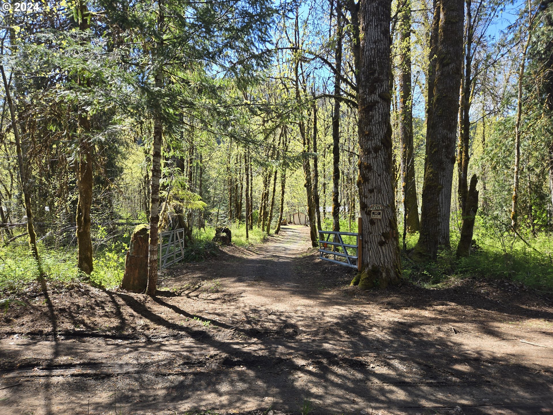 642 Cannavinna Road Carson, WA 98610 - Photo 34 of 36 Driveway