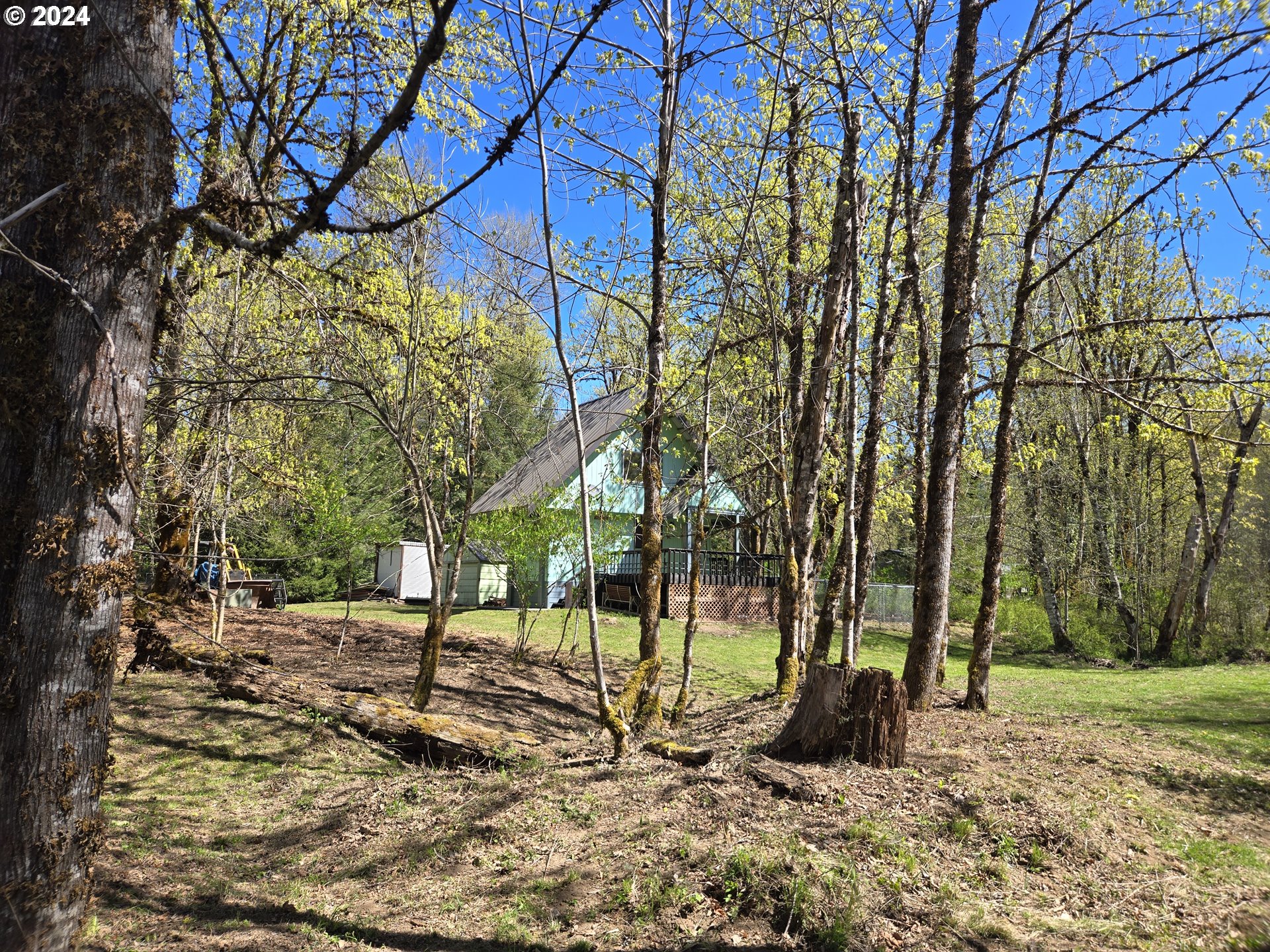 642 Cannavinna Road Carson, WA 98610 - Photo 35 of 36 Yard