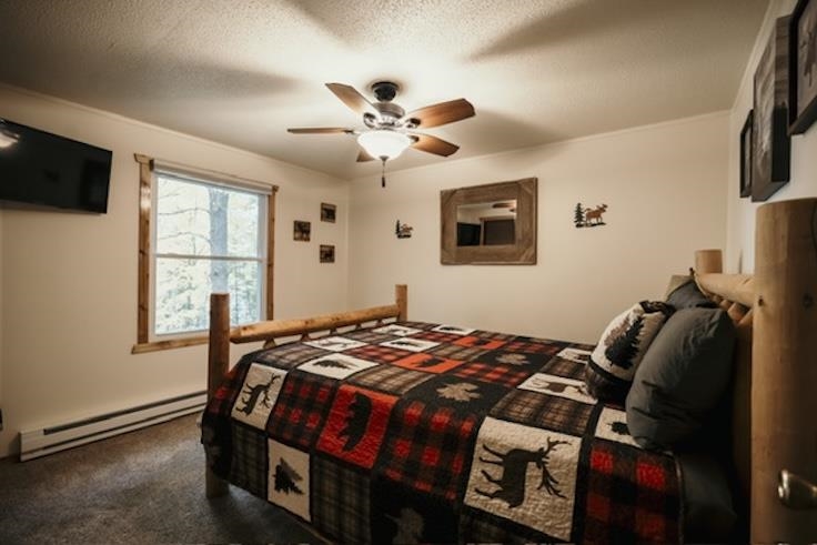 10980 East Halsey Lake Road Long Lake, WI 54542 - Photo 12 of 33