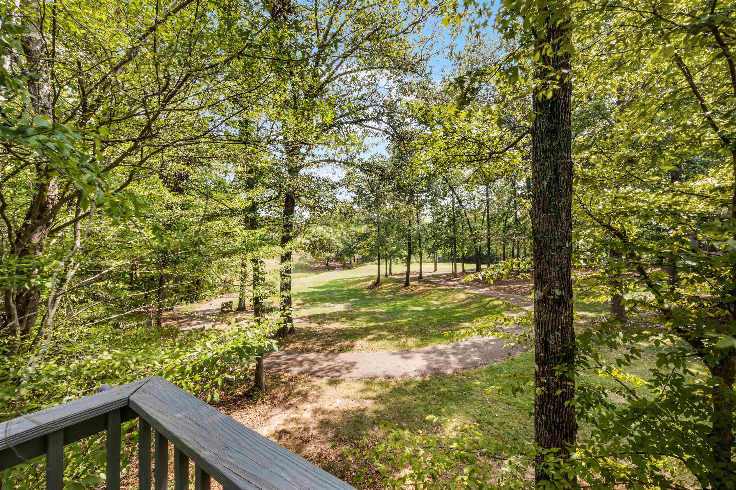 180 Vantage Pointe Counce, TN 38326 - Photo 25 of 30 a view of a yard with plants