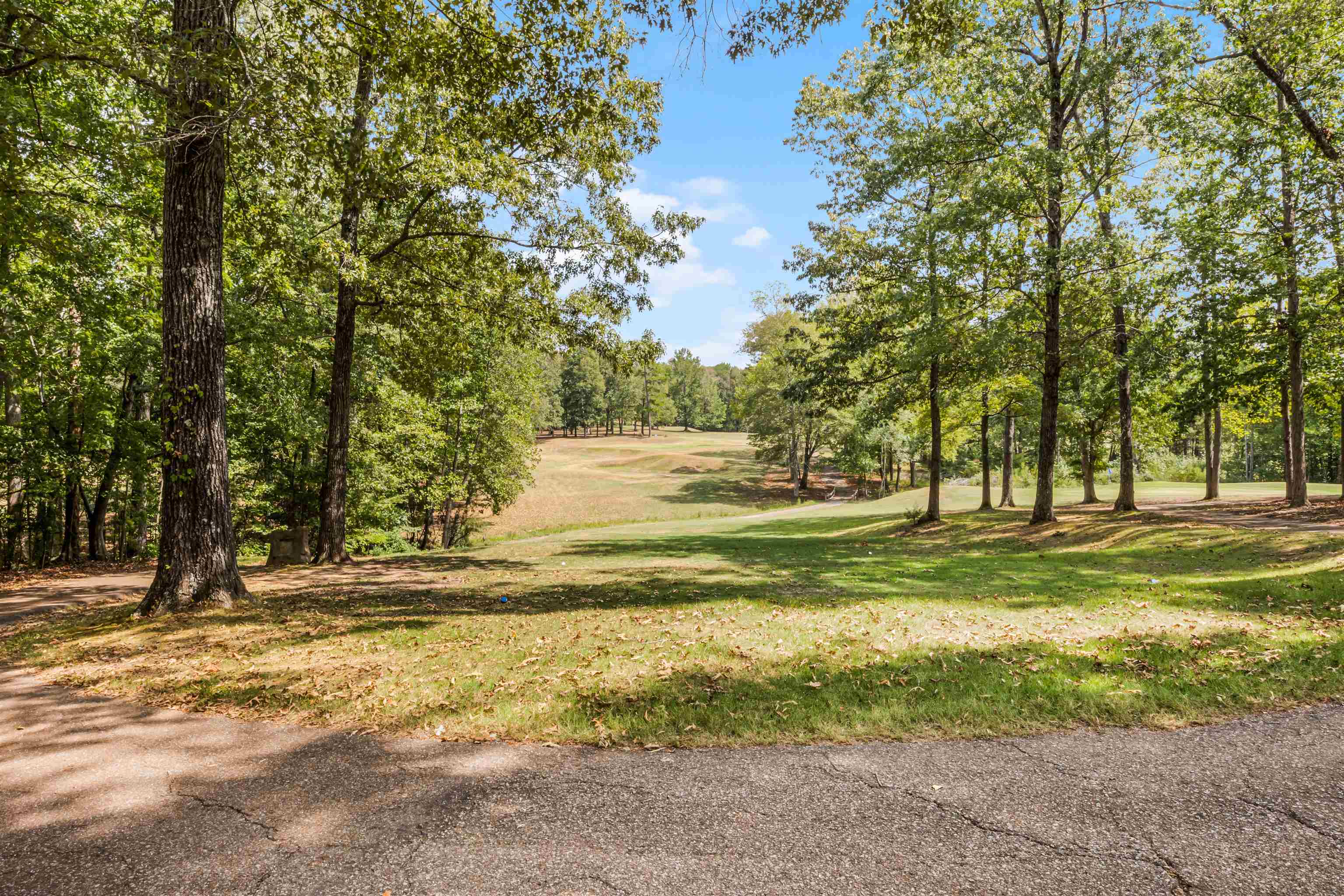 180 Vantage Pointe Counce, TN 38326 - Photo 26 of 30 a view of a yard with a trees