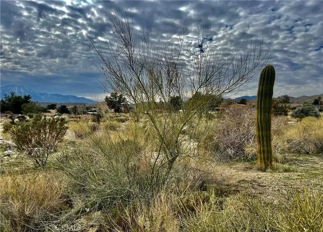 $135,000 | 11040 Mescalero Avenue, Morongo Valley, CA 92256