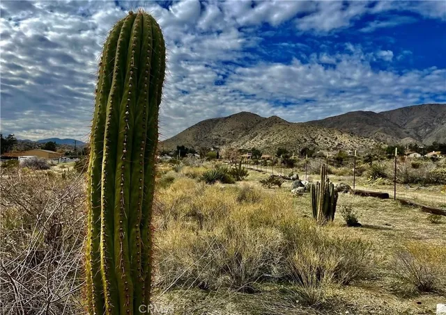 $135,000 | 11040 Mescalero Avenue, Morongo Valley, CA 92256