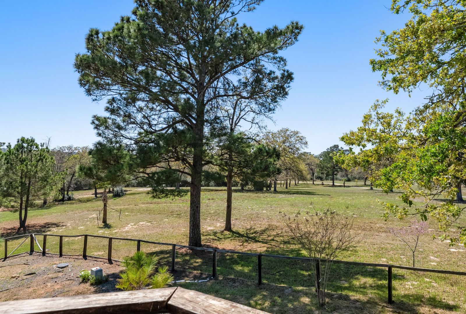 490 John Craft Road Red Rock, TX 78662 - Photo 17 of 40