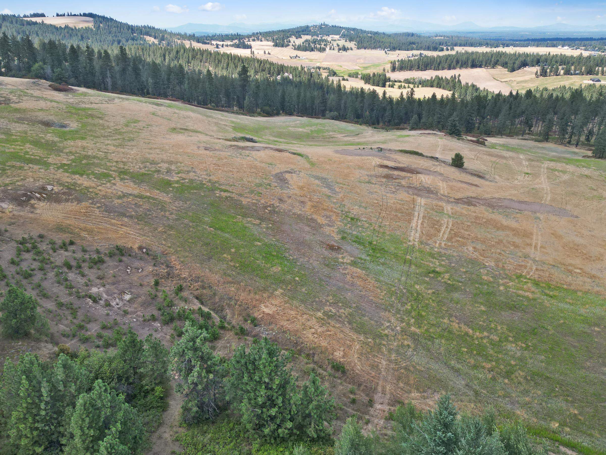 Nka West Ballard Road, Unit LOT 3B Spokane, WA 99208 - Photo 5 of 13 Gallery Image 5