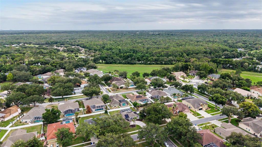 4021 Lithia Ridge Boulevard Valrico, FL 33596 - Photo 41 of 48