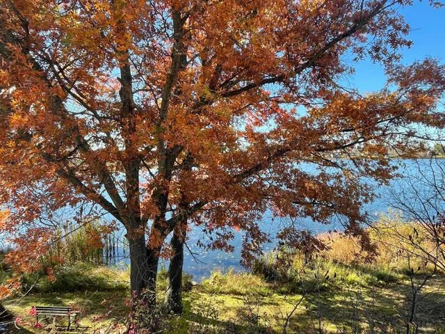 $369,000 | Xxx 74th Street, Luck, WI 54853