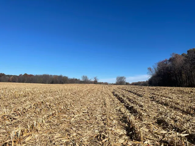 $369,000 | Xxx 74th Street, Luck, WI 54853