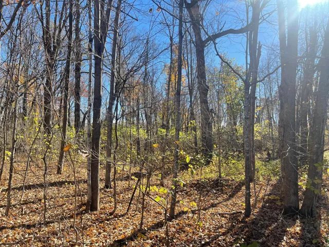 $369,000 | Xxx 74th Street, Luck, WI 54853