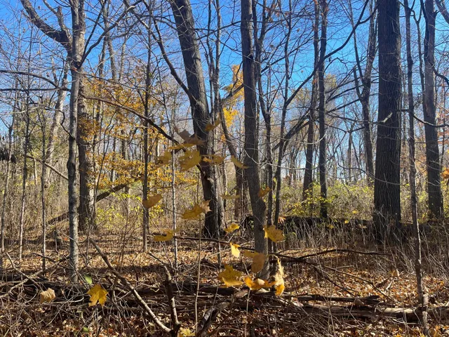 $369,000 | Xxx 74th Street, Luck, WI 54853