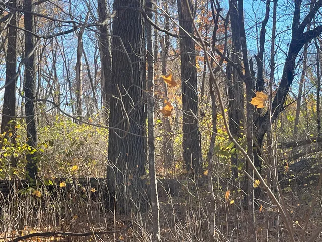 $369,000 | Xxx 74th Street, Luck, WI 54853