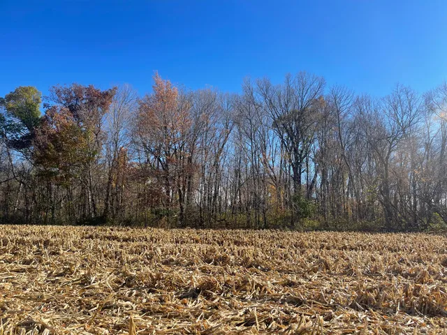 $369,000 | Xxx 74th Street, Luck, WI 54853