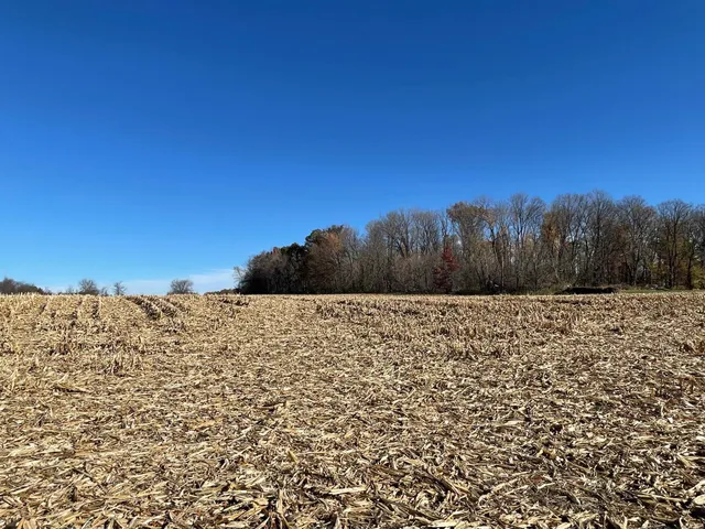 $369,000 | Xxx 74th Street, Luck, WI 54853