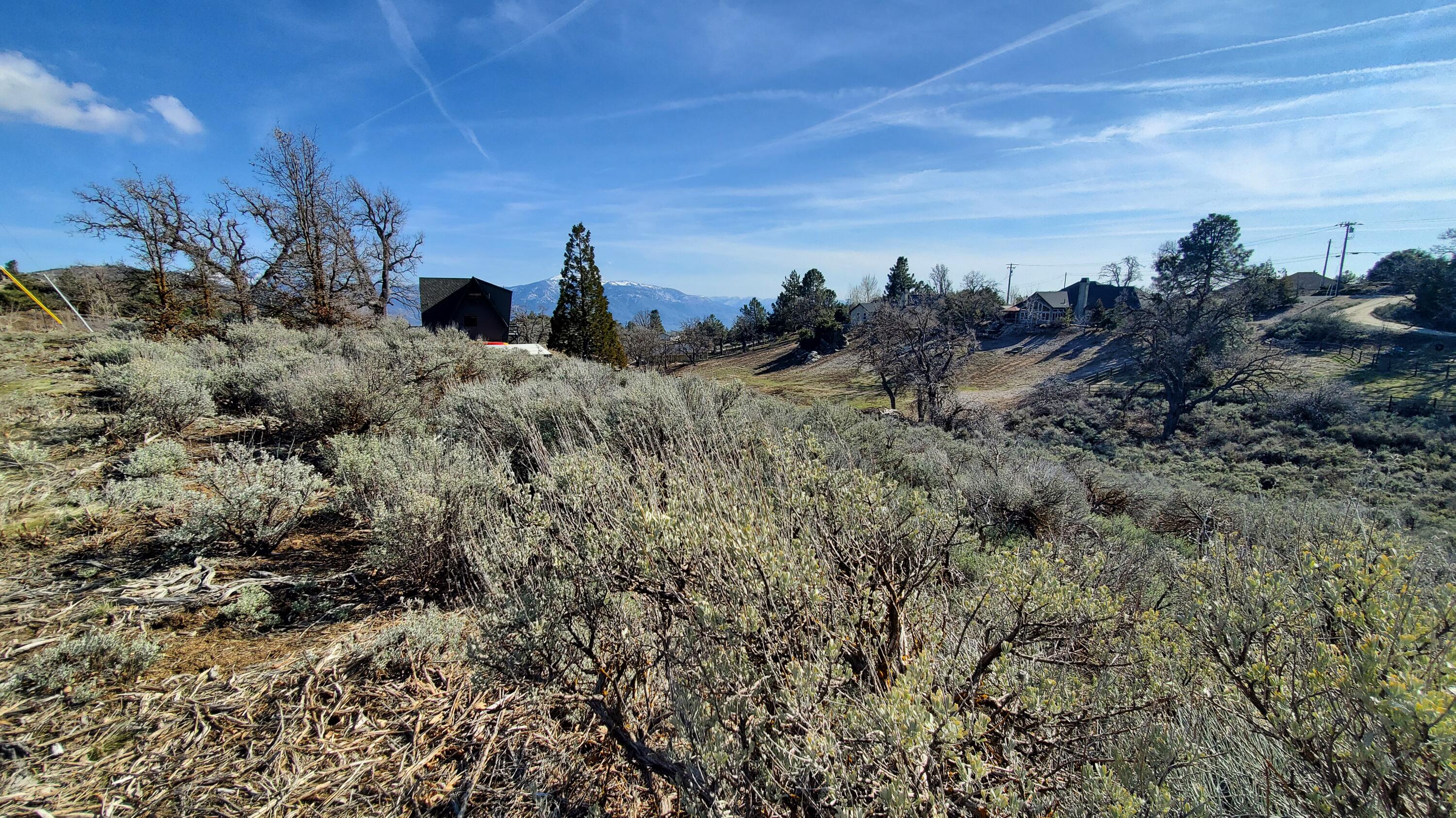 25041 Jacaranda Drive Tehachapi, CA 93561 - Photo 8 of 30 20230405_162028
