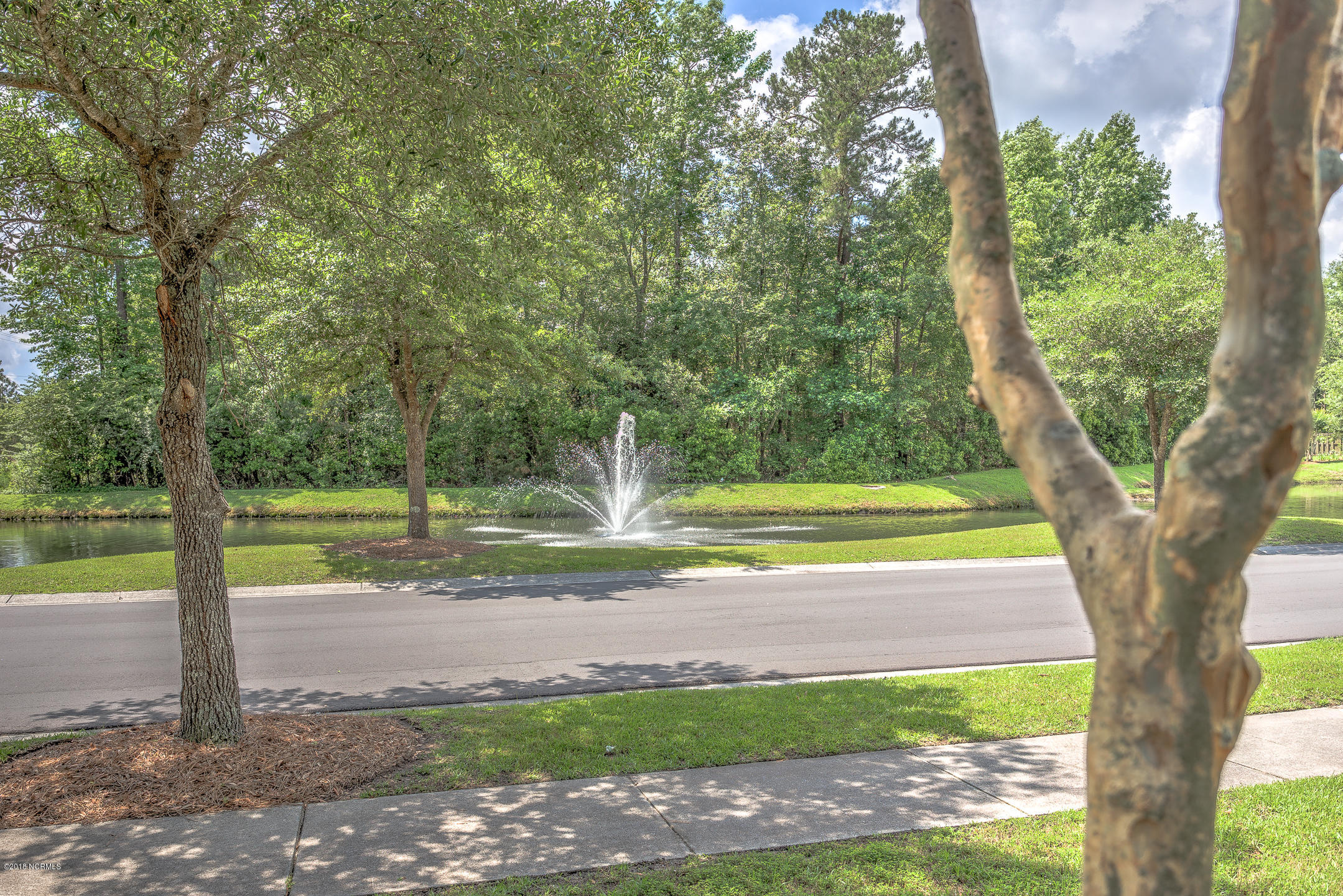 8681 Orchard Loop Road Leland, NC 28451 - Photo 31 of 32 8681 Orchard Loop-34