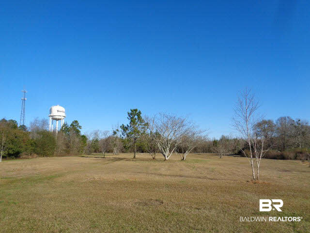 52790 Highway 31 Perdido, AL 36562 - Photo 19 of 22