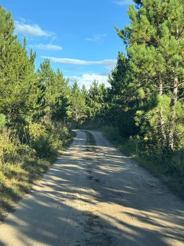 $219,900 | 25333 196th Street, Staples, MN 56479