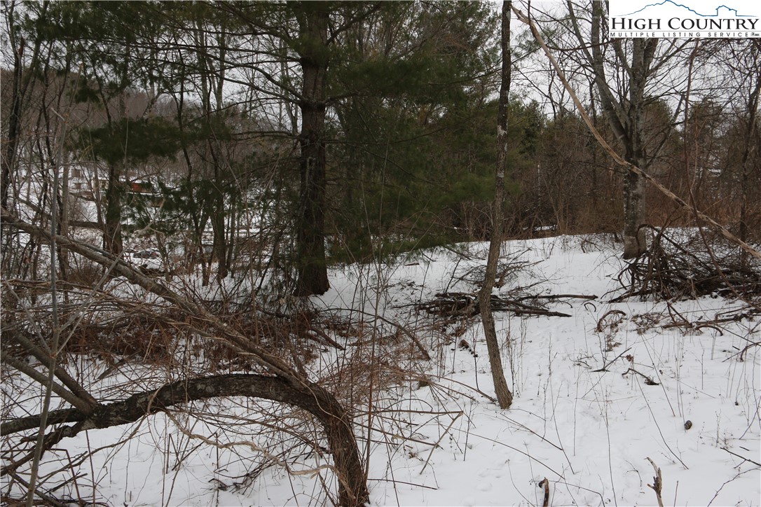 Cedar Hill Drive Crumpler, NC 28617 - Photo 12 of 12