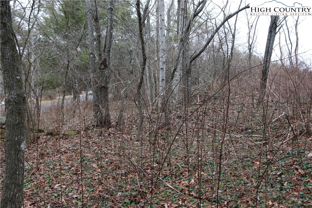 Cedar Hill Drive Crumpler, NC 28617 - Photo 3 of 12